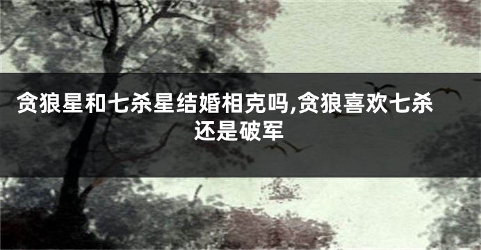 贪狼星和七杀星结婚相克吗,贪狼喜欢七杀还是破军
