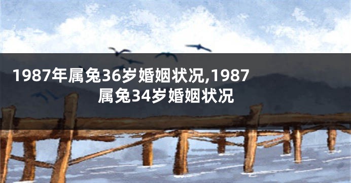 1987年属兔36岁婚姻状况,1987属兔34岁婚姻状况