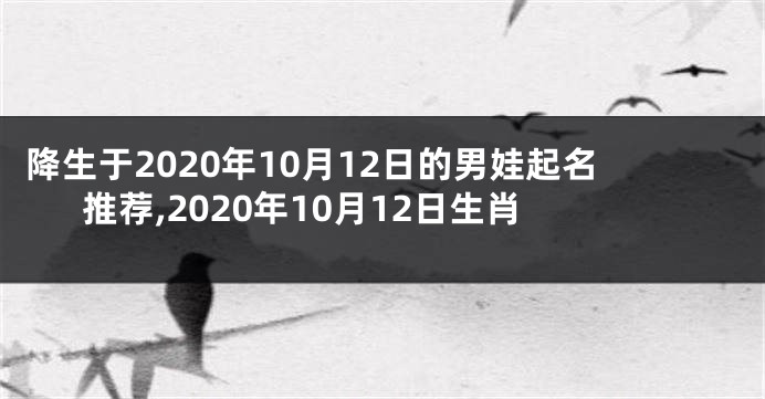 降生于2020年10月12日的男娃起名推荐,2020年10月12日生肖
