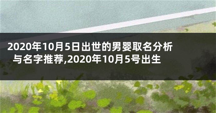 2020年10月5日出世的男婴取名分析与名字推荐,2020年10月5号出生