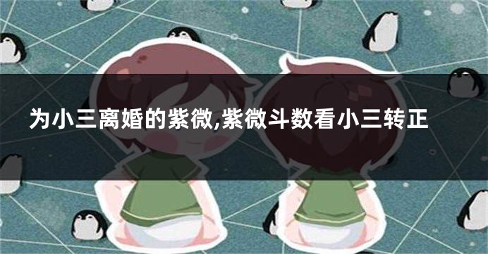 为小三离婚的紫微,紫微斗数看小三转正