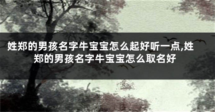 姓郑的男孩名字牛宝宝怎么起好听一点,姓郑的男孩名字牛宝宝怎么取名好