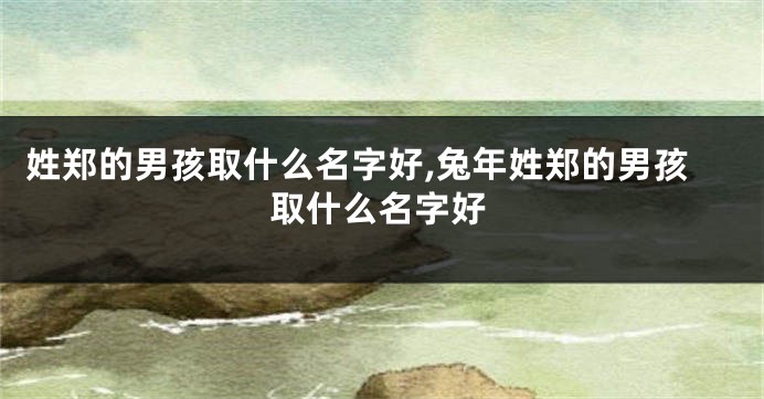 姓郑的男孩取什么名字好,兔年姓郑的男孩取什么名字好