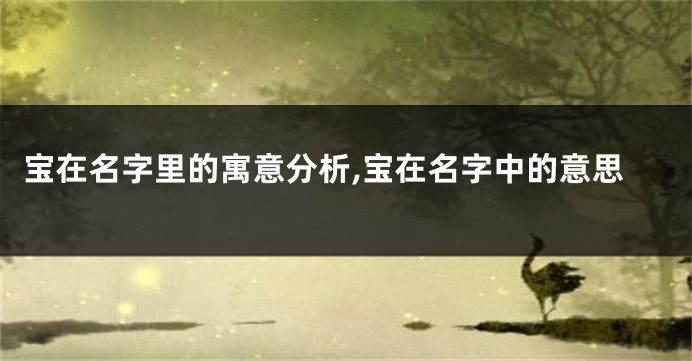宝在名字里的寓意分析,宝在名字中的意思
