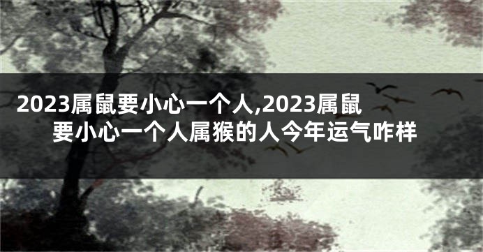 2023属鼠要小心一个人,2023属鼠要小心一个人属猴的人今年运气咋样
