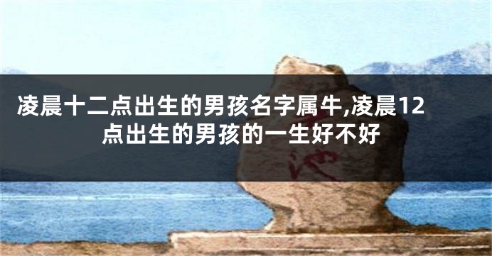 凌晨十二点出生的男孩名字属牛,凌晨12点出生的男孩的一生好不好
