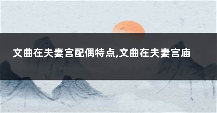 文曲在夫妻宫配偶特点,文曲在夫妻宫庙