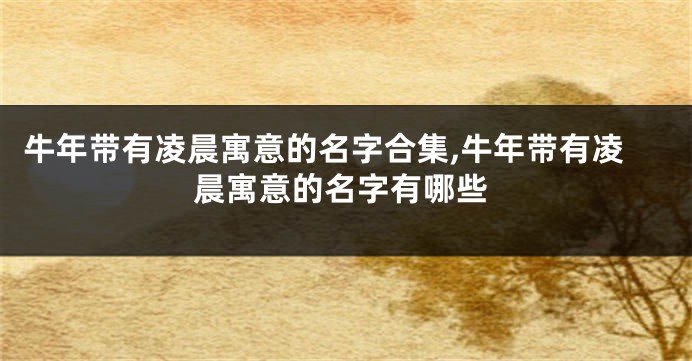 牛年带有凌晨寓意的名字合集,牛年带有凌晨寓意的名字有哪些