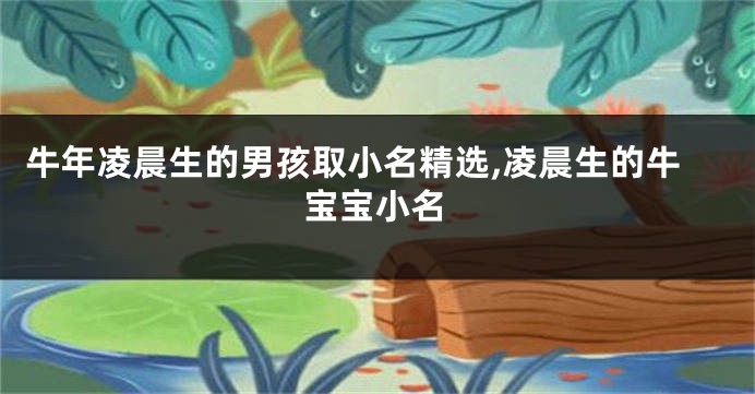 牛年凌晨生的男孩取小名精选,凌晨生的牛宝宝小名