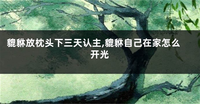 貔貅放枕头下三天认主,貔貅自己在家怎么开光
