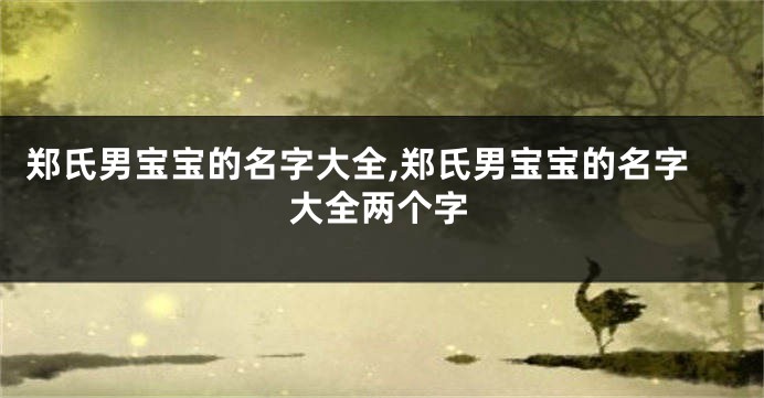 郑氏男宝宝的名字大全,郑氏男宝宝的名字大全两个字