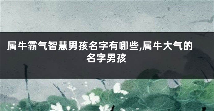 属牛霸气智慧男孩名字有哪些,属牛大气的名字男孩