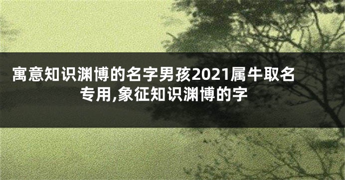 寓意知识渊博的名字男孩2021属牛取名专用,象征知识渊博的字