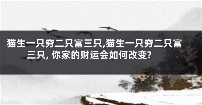 猫生一只穷二只富三只,猫生一只穷二只富三只, 你家的财运会如何改变?