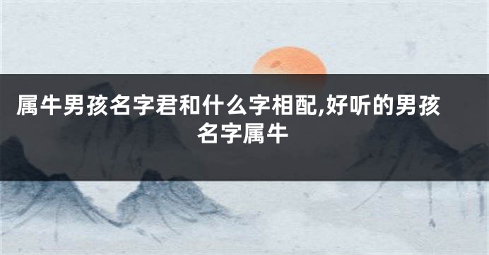属牛男孩名字君和什么字相配,好听的男孩名字属牛