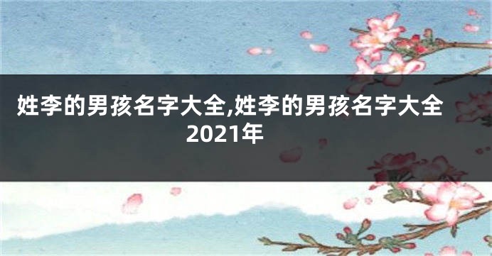 姓李的男孩名字大全,姓李的男孩名字大全2021年