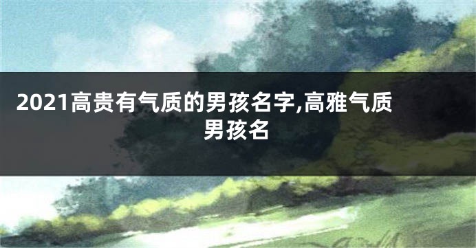 2021高贵有气质的男孩名字,高雅气质男孩名