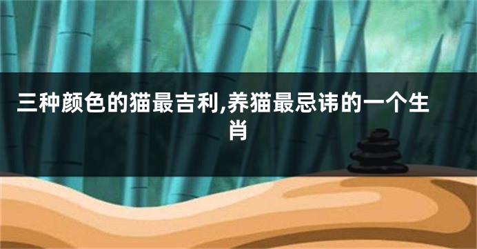 三种颜色的猫最吉利,养猫最忌讳的一个生肖
