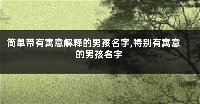 简单带有寓意解释的男孩名字,特别有寓意的男孩名字
