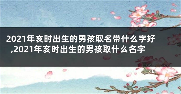 2021年亥时出生的男孩取名带什么字好,2021年亥时出生的男孩取什么名字