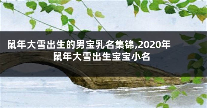 鼠年大雪出生的男宝乳名集锦,2020年鼠年大雪出生宝宝小名