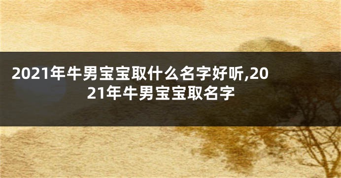 2021年牛男宝宝取什么名字好听,2021年牛男宝宝取名字