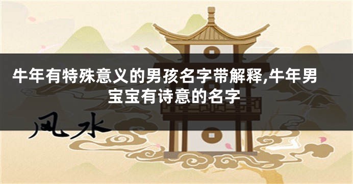 牛年有特殊意义的男孩名字带解释,牛年男宝宝有诗意的名字
