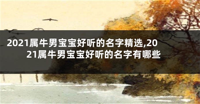 2021属牛男宝宝好听的名字精选,2021属牛男宝宝好听的名字有哪些