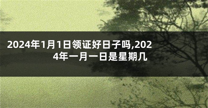 2024年1月1日领证好日子吗,2024年一月一日是星期几