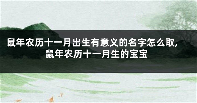 鼠年农历十一月出生有意义的名字怎么取,鼠年农历十一月生的宝宝