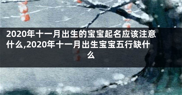2020年十一月出生的宝宝起名应该注意什么,2020年十一月出生宝宝五行缺什么