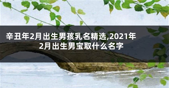 辛丑年2月出生男孩乳名精选,2021年2月出生男宝取什么名字