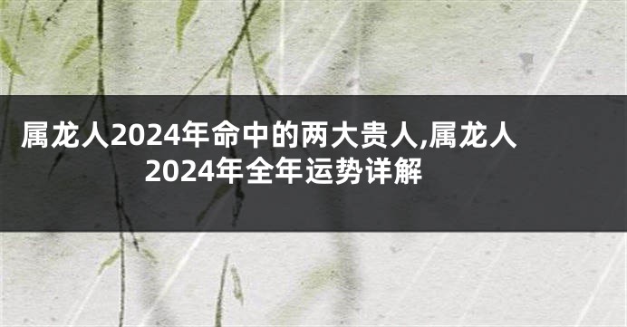 属龙人2024年命中的两大贵人,属龙人2024年全年运势详解