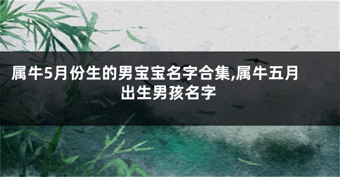 属牛5月份生的男宝宝名字合集,属牛五月出生男孩名字