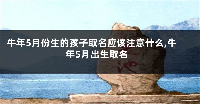 牛年5月份生的孩子取名应该注意什么,牛年5月出生取名