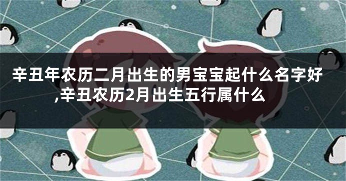 辛丑年农历二月出生的男宝宝起什么名字好,辛丑农历2月出生五行属什么