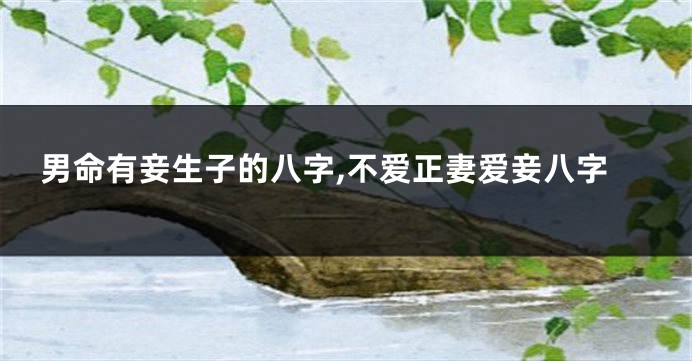 男命有妾生子的八字,不爱正妻爱妾八字