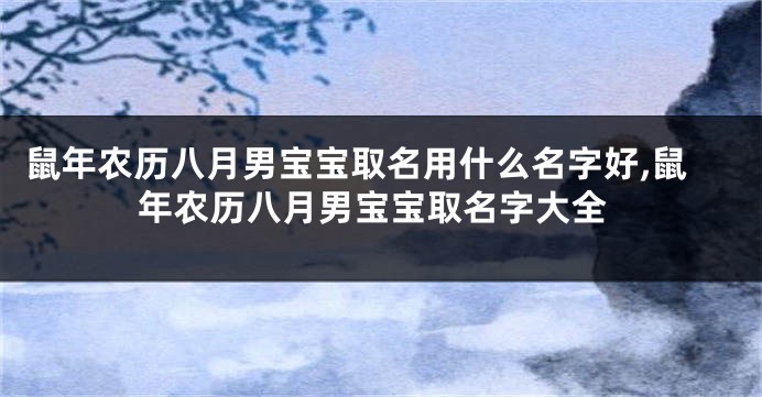鼠年农历八月男宝宝取名用什么名字好,鼠年农历八月男宝宝取名字大全
