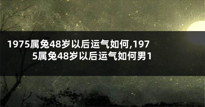 1975属兔48岁以后运气如何,1975属兔48岁以后运气如何男1