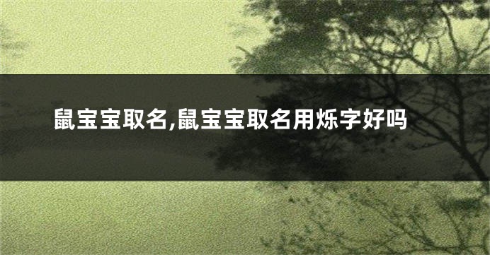 鼠宝宝取名,鼠宝宝取名用烁字好吗