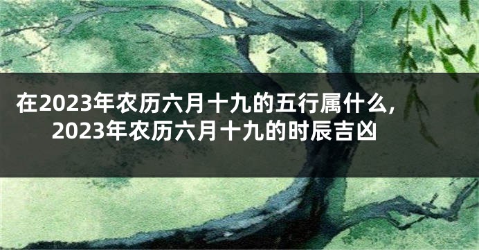 在2023年农历六月十九的五行属什么,2023年农历六月十九的时辰吉凶