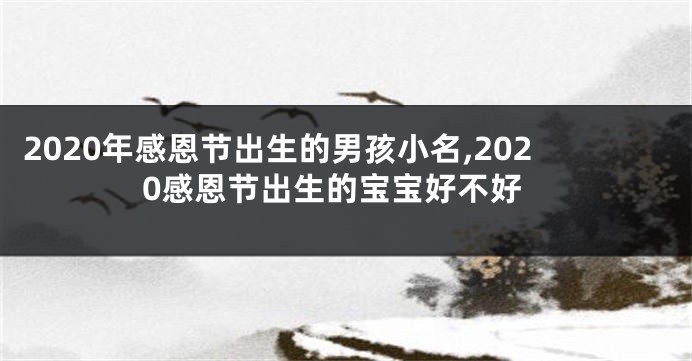 2020年感恩节出生的男孩小名,2020感恩节出生的宝宝好不好