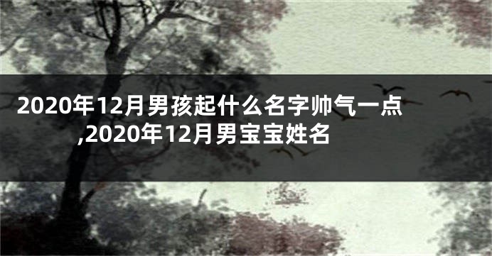 2020年12月男孩起什么名字帅气一点,2020年12月男宝宝姓名