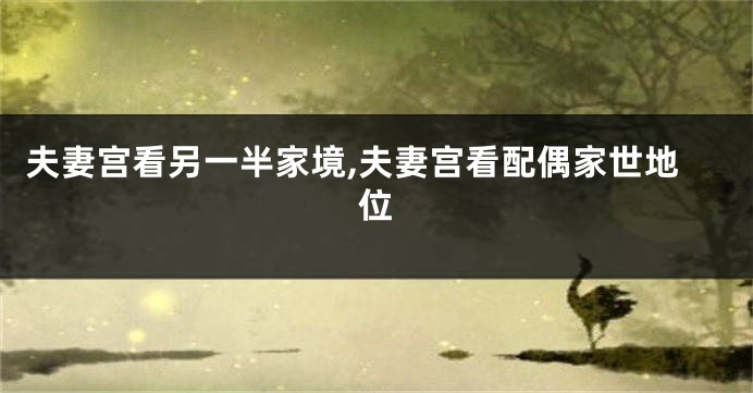 夫妻宫看另一半家境,夫妻宫看配偶家世地位