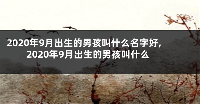 2020年9月出生的男孩叫什么名字好,2020年9月出生的男孩叫什么