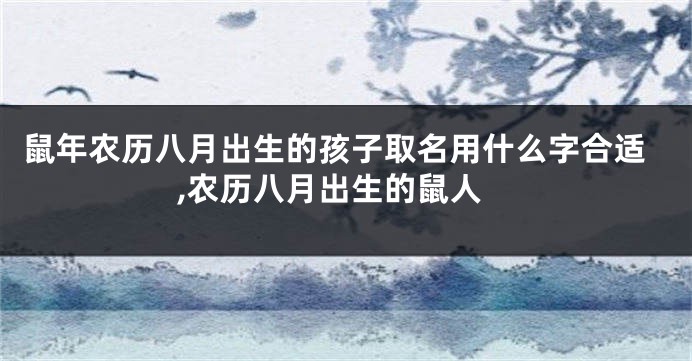 鼠年农历八月出生的孩子取名用什么字合适,农历八月出生的鼠人