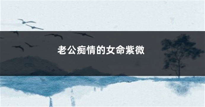 老公痴情的女命紫微