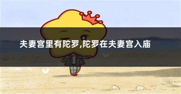 夫妻宫里有陀罗,陀罗在夫妻宫入庙