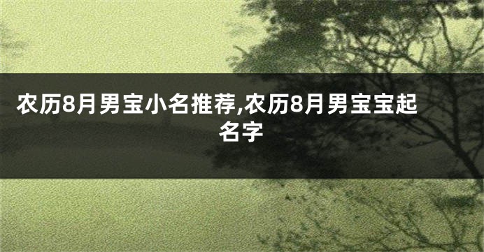 农历8月男宝小名推荐,农历8月男宝宝起名字