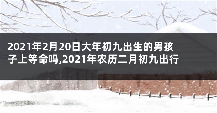 2021年2月20日大年初九出生的男孩子上等命吗,2021年农历二月初九出行